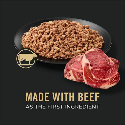 Image showing  Adult High-Protein Beef and Rice Entree Pate Wet Dog Food, 13 oz.