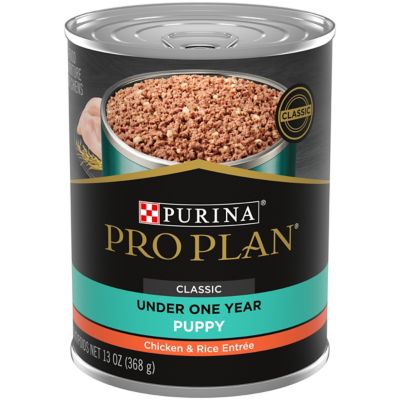 Purina Pro Plan High Protein Puppy Food Pate, Chicken and Brown Rice Entree Best Decision for my dog!