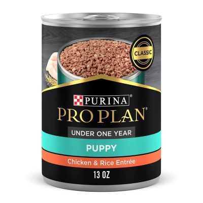 Purina Pro Plan High Protein Puppy Food Pate, Chicken and Brown Rice Entree My golden doodle loves this! It’s her favorite wet puppy food