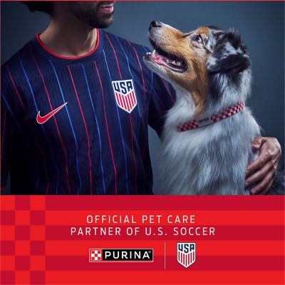 Image showing 9 th Purina Pro Plan Puppy High-Protein Chicken and Brown Rice Entree Pate Wet Dog Food, 13 oz.