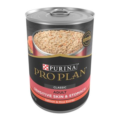 Purina Pro Plan Focus Adult Sensitive Skin and Stomach Wheat-Free Salmon and Rice Pate Wet Dog Food, 13 oz. Can