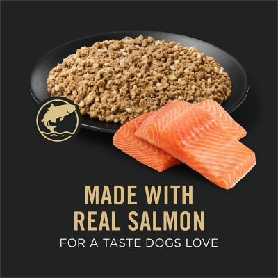 Image showing  Sensitive Skin and Stomach Adult Salmon and Rice Pate Wet Dog Food, 13 oz.