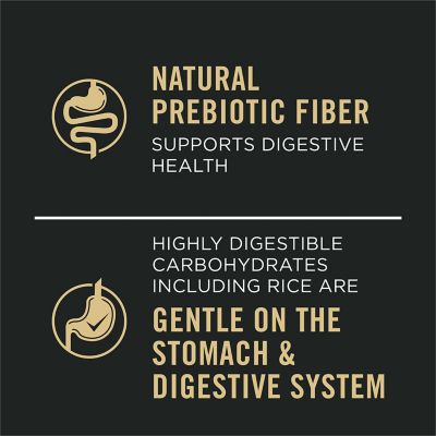 Image showing  Sensitive Skin and Stomach Adult Salmon and Rice Pate Wet Dog Food, 13 oz.