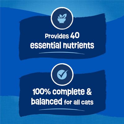 Image showing  Seafood Sensations Salmon, Tuna and Shrimp Recipe Dry Cat Food