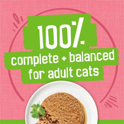 Image showing  All Life Stages Salmon Dinner Pate Wet Cat Food, 5.5 oz.
