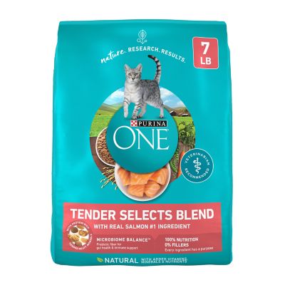 Purina ONE Natural Dry Cat Food, Tender Selects Blend With Real Salmon