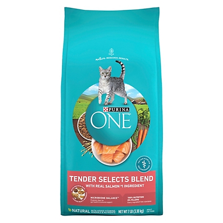Purina ONE Tender Selects Adult Salmon Blend Recipe Dry Cat Food