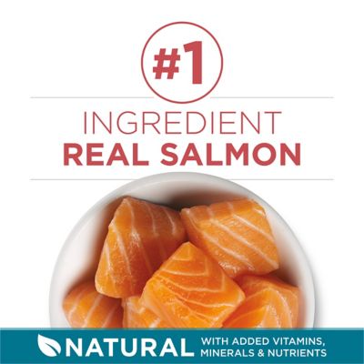 Image showing  Natural Adult Indoor/Outdoor Tender Selects Blend with Real Salmon Recipe Dry Cat Food