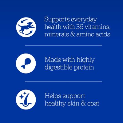 Image showing  Adult Chopped Ground Dinner Chicken and Rice Wet Dog Food, 13.2 oz.