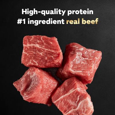 Image showing  Adult Small Breed Porterhouse Steak Classic Loaf in Sauce Wet Dog Food, 3.5 oz.