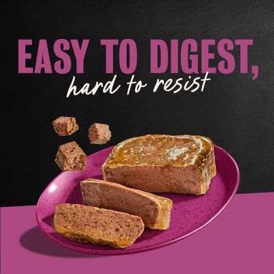 Image showing 9 th Cesar Adult Small Breed Porterhouse Steak Classic Loaf in Sauce Wet Dog Food, 3.5 oz.