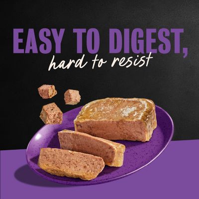 Image showing 9 th Cesar Adult Small Breed Grilled Chicken Classic Loaf in Sauce Wet Dog Food, 3.5 oz.