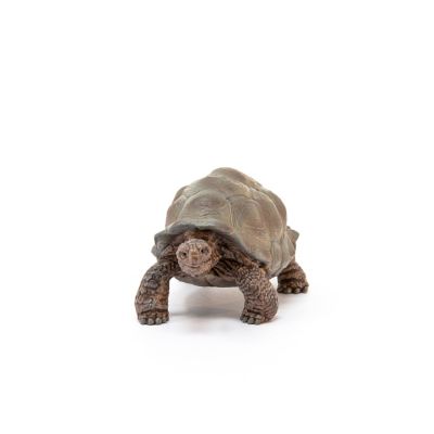 Image showing  Giant Tortoise Toy Figurine