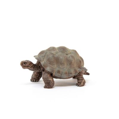 Image showing  Giant Tortoise Toy Figurine