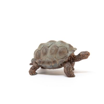 Image showing  Giant Tortoise Toy Figurine
