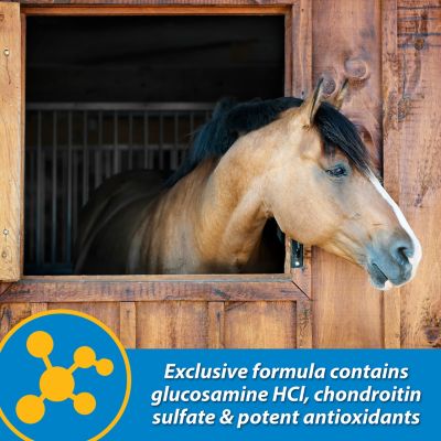 Image showing  Fluid Flex The Joint Solution Horse Supplement, 32 oz.