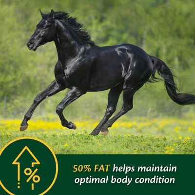 Image showing  Weight Builder Equine Supplement, 7.5 lb.