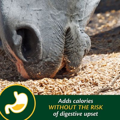 Image showing  Weight Builder Equine Supplement, 7.5 lb.