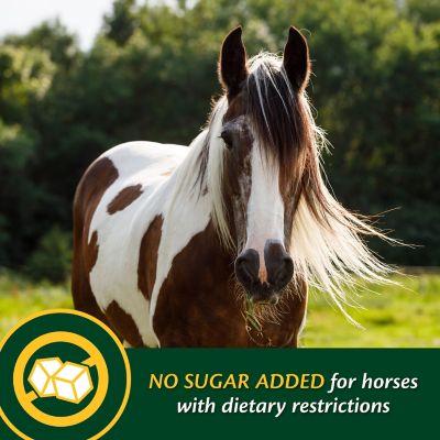 Image showing  Weight Builder Equine Supplement, 7.5 lb.