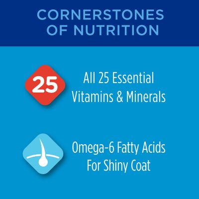 Image showing  Cat Chow Adult Indoor/Outdoor High-Protein Complete Chicken Recipe Dry Cat Food