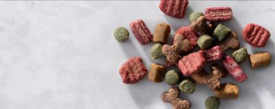 Image showing  Mini Bites Small Breed Adult Savory Beef and Chicken Recipe Dry Dog Food, 16 lb. Bag
