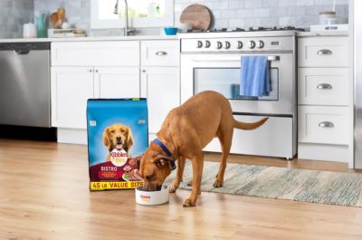 Image showing  Mini Bites Small Breed Adult Savory Beef and Chicken Recipe Dry Dog Food, 16 lb. Bag