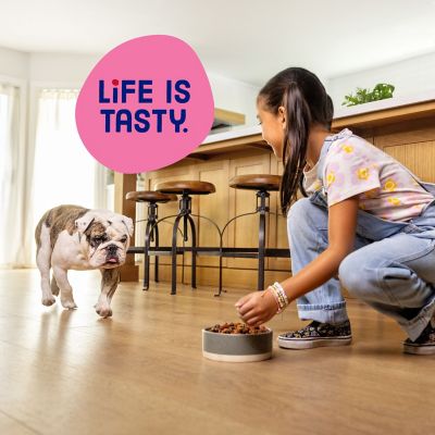 Image showing 9 th Kibbles 'n Bits Mini Bites Small Breed Adult Savory Beef and Chicken Recipes Dry Dog Food