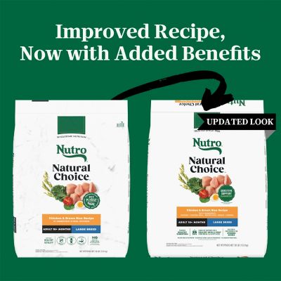Image showing  Adult Large Breed Chicken and Brown Rice Recipe Dry Dog Food