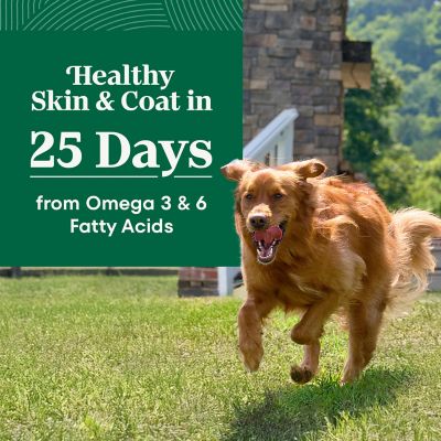 Image showing  Adult Large Breed Chicken and Brown Rice Recipe Dry Dog Food