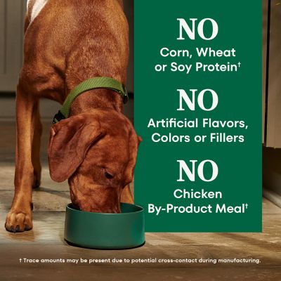 Image showing 6 th Nutro Natural Choice Adult Lamb and Brown Rice Recipe Dry Dog Food