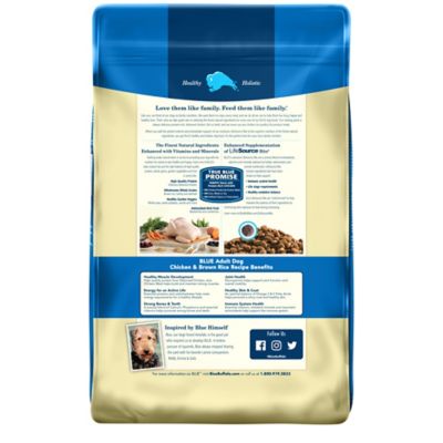 Image showing  All-Natural Adult Chicken and Brown Rice Recipe Dry Dog Food