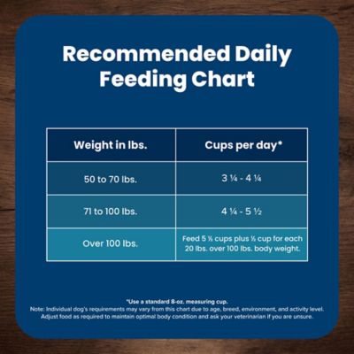 Image showing 9 th Blue Buffalo Life Protection Large Breed Adult Chicken and Brown Rice Recipe Natural Dry Dog Food