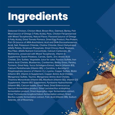 Image showing  Puppy Chicken and Brown Rice Recipe Dry Dog Food