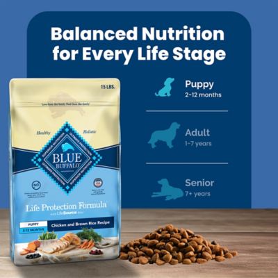 Image showing 7 th Blue Buffalo Life Protection Puppy Chicken and Brown Rice Recipe Dry Dog Food