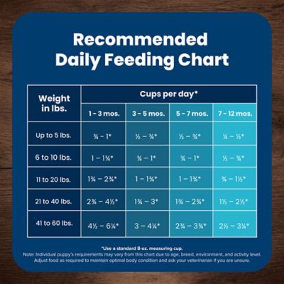 Image showing 9 th Blue Buffalo Life Protection Puppy Chicken and Brown Rice Recipe Dry Dog Food