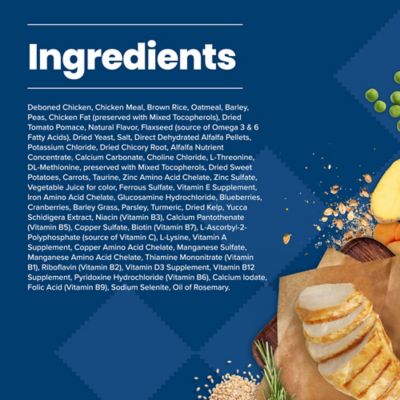 Image showing  All-Natural Adult Chicken and Brown Rice Recipe Dry Dog Food