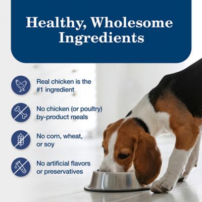 Image showing 5 th Blue Buffalo Homestyle Adult Chicken Dinner with Garden Vegetables Recipe Wet Dog Food, 12.5 oz.