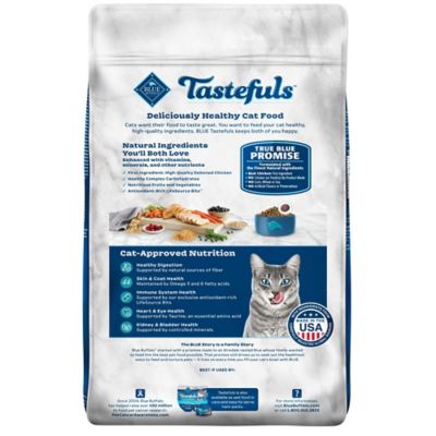 Image showing  Natural Adult Indoor Chicken and Brown Rice Recipe Dry Cat Food