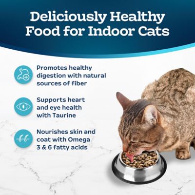 Image showing  Natural Adult Indoor Chicken and Brown Rice Recipe Dry Cat Food