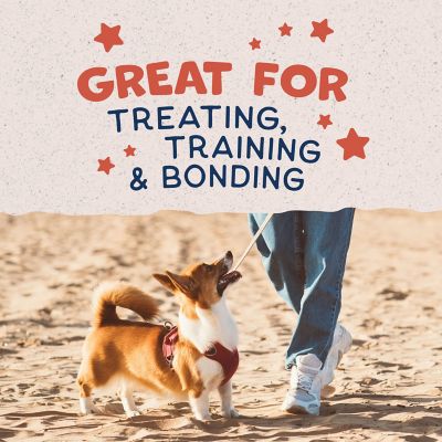 Image showing 6 th Natural Balance Limited Ingredient Sweet Potato and Fish Flavor Dog Biscuit Treats for Small Dogs, 8 oz.