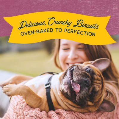 Image showing 9 th Natural Balance L.I.T. Limited Ingredient Treats Venison and Sweet Potato Dog Treats