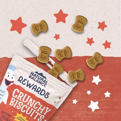 Image showing  Rewards Crunchy Biscuits With Real Salmon Dog Treat