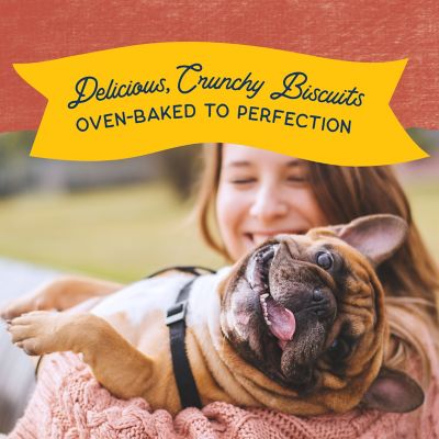 Image showing  Rewards Crunchy Biscuits With Real Salmon Dog Treat