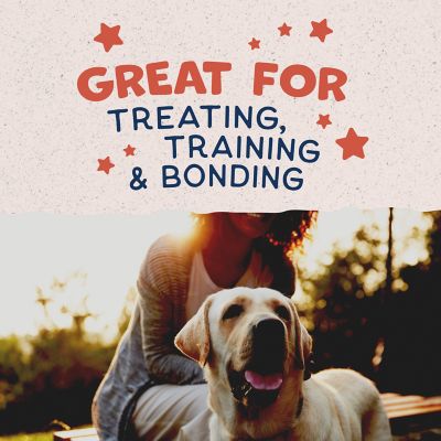 Image showing 5 th Natural Balance Rewards Crunchy Biscuits With Real Salmon Dog Treat