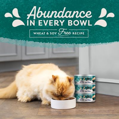 Image showing 8 th Natural Balance Can Cat Indoor/Hairball