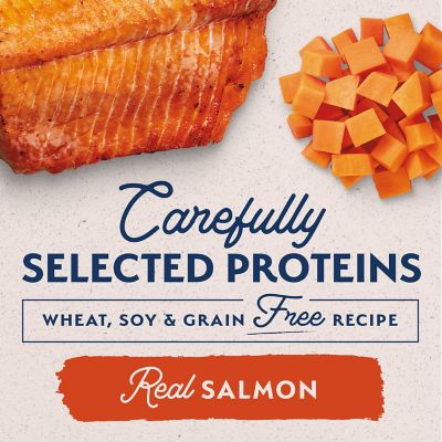 Image showing  Limited Ingredient Wet Dog Food, Sweet Potato & Salmon Recipe, 13 oz.
