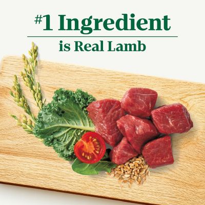 Image showing  Adult Large Breed Lamb and Brown Rice Recipe Dry Dog Food