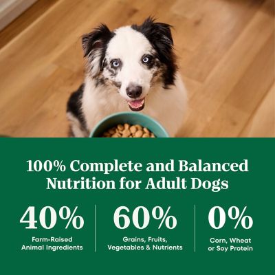 Image showing 7 th Nutro Natural Choice Adult Large Breed Lamb and Brown Rice Recipe Dry Dog Food