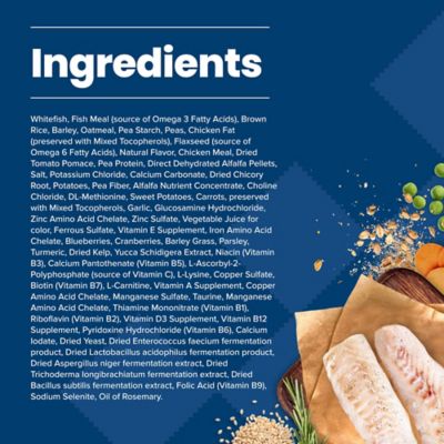 Image showing  Adult Fish and Brown Rice Recipe Dry Dog Food