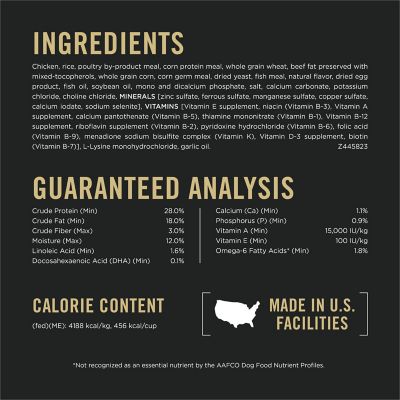 Image showing  Focus Puppy Chicken & Rice Formula Dry Dog Food